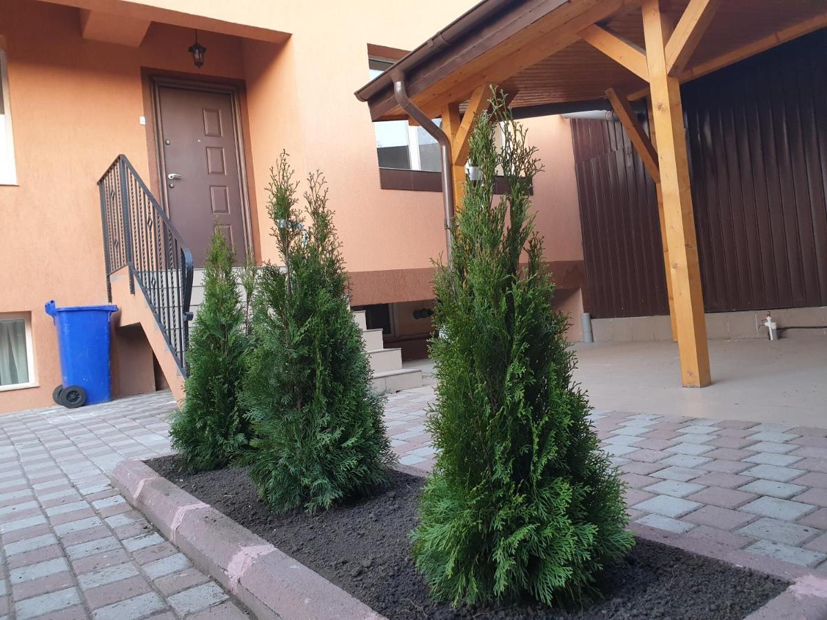 Villa Accommodation Bucureşti Exterior foto