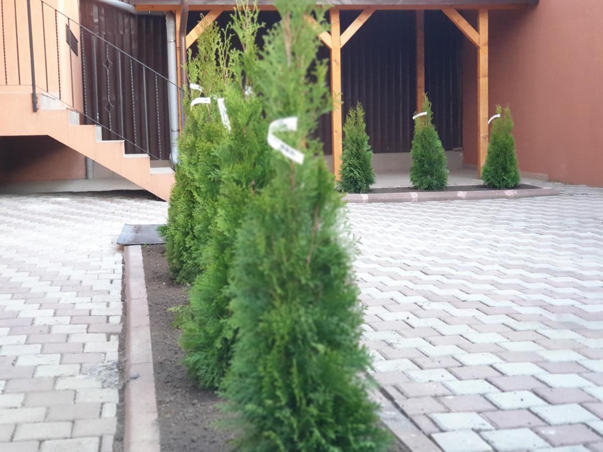 Villa Accommodation Bucureşti Exterior foto